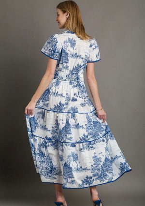 Blue Toile Print Maxi Dress