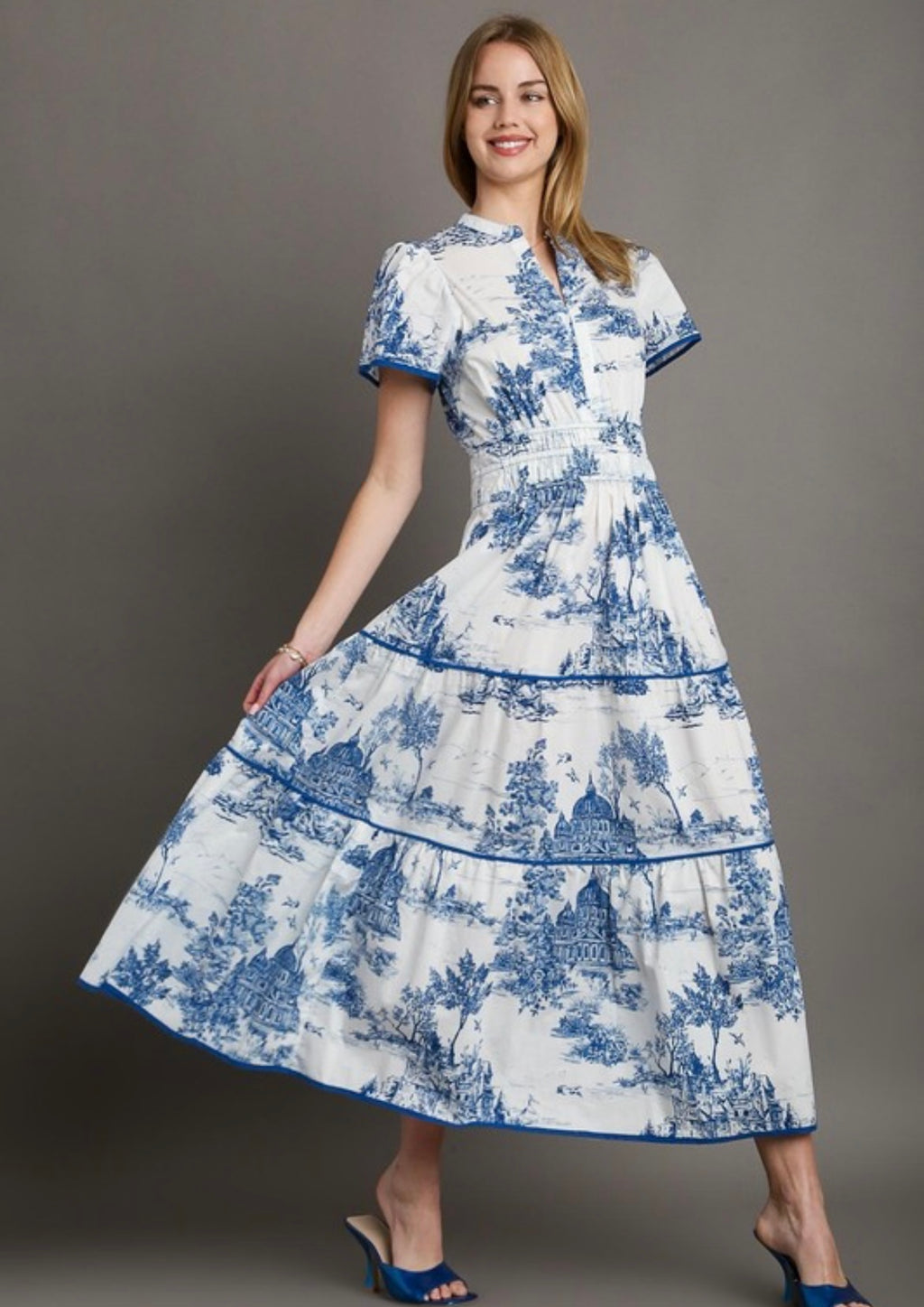 Blue Toile Print Maxi Dress